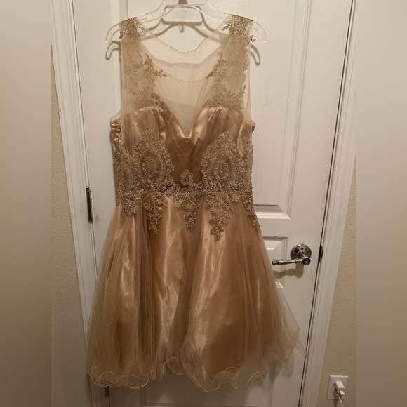 Champagne Party Dress - Picture 2 of 2